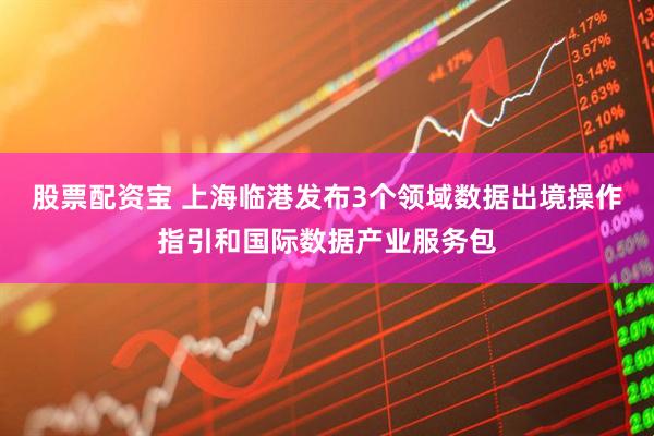 股票配资宝 上海临港发布3个领域数据出境操作指引和国际数据产业服务包