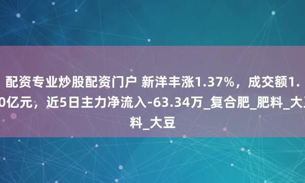 配资专业炒股配资门户 新洋丰涨1.37%，成交额1.90亿元，近5日主力净流入-63.34万_复合肥_肥料_大豆