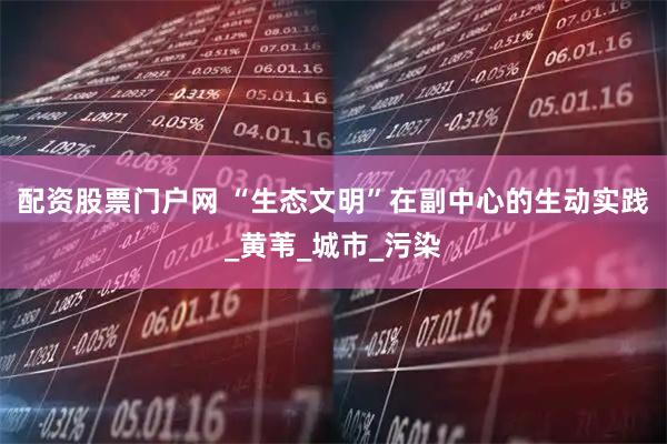 配资股票门户网 “生态文明”在副中心的生动实践_黄苇_城市_污染