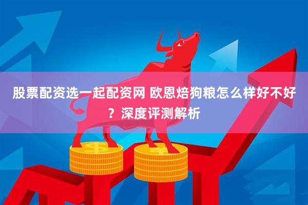 股票配资选一起配资网 欧恩焙狗粮怎么样好不好？深度评测解析