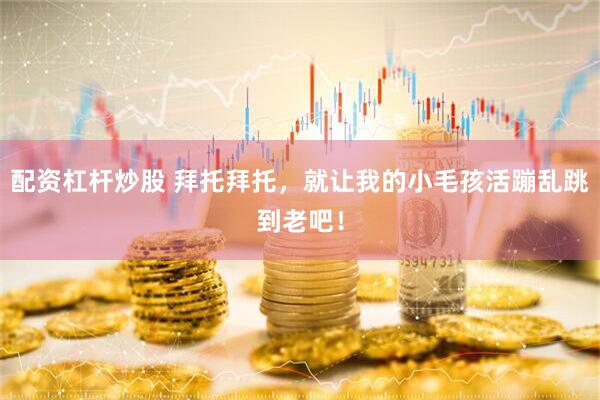 配资杠杆炒股 拜托拜托，就让我的小毛孩活蹦乱跳到老吧！