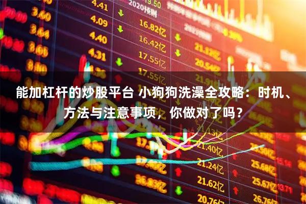 能加杠杆的炒股平台 小狗狗洗澡全攻略：时机、方法与注意事项，你做对了吗？