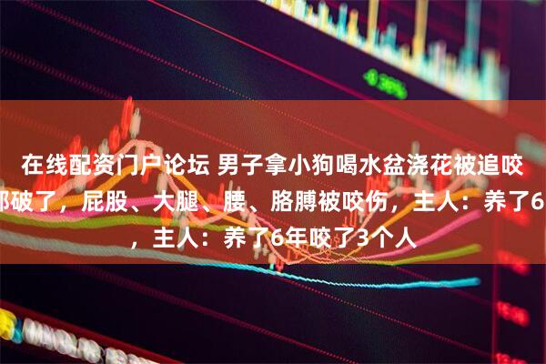 在线配资门户论坛 男子拿小狗喝水盆浇花被追咬，衣服裤子都破了，屁股、大腿、腰、胳膊被咬伤，主人：养了6年咬了3个人
